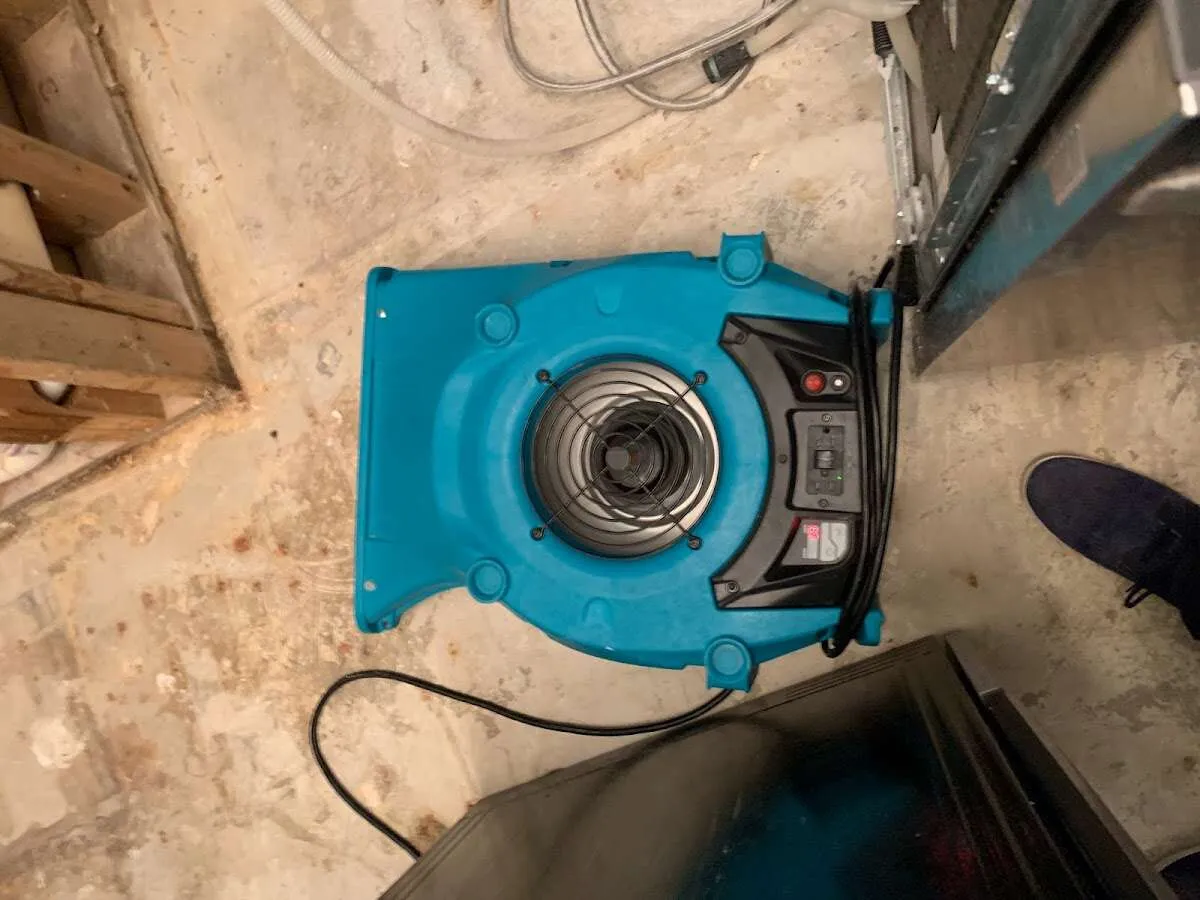 Air mover drying equipment for Mold Remediation & Removal in Glendale Heights